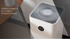 Different Stages of Air Purifier