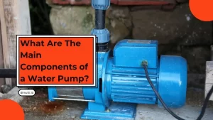 Components of a Water Pump