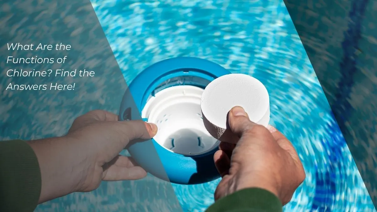 What Are the Functions of Chlorine? Find the Answers Here!