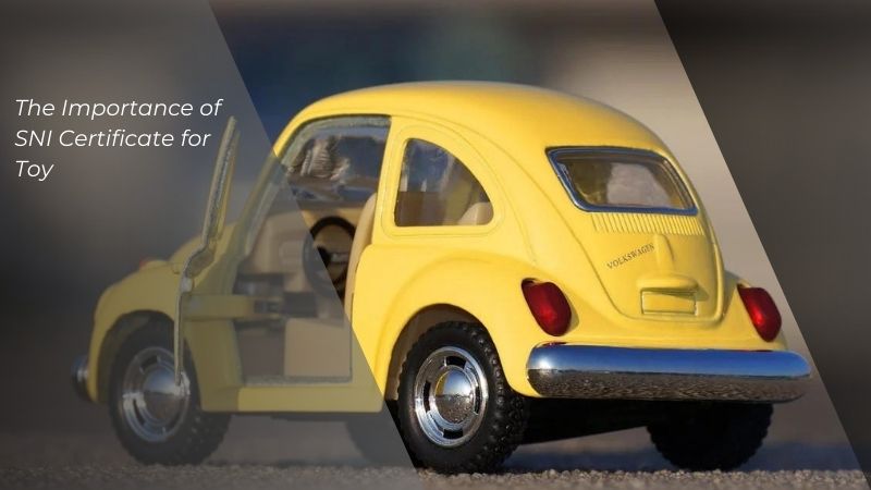 SNI Certificate for Toy