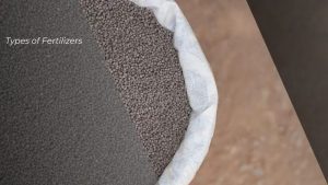 Types of Fertilizers