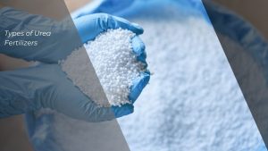 Types of Urea Fertilizers
