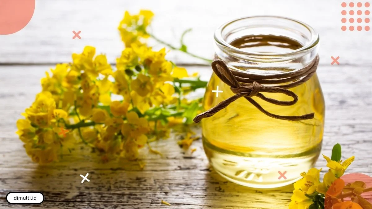 Hidden Benefits of Canola Oil