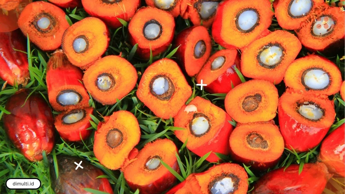 The Benefits of Palm Oil