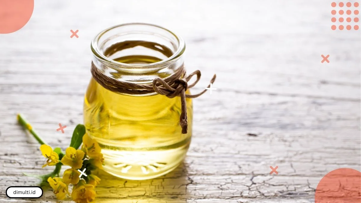 Canola Oil Vs Sunflower Oil: Which One is Better?