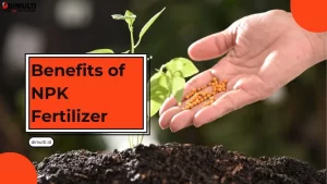 Benefits of NPK Fertilizer