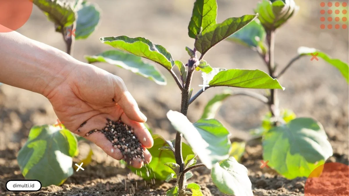 Benefits of SP36 Fertilizer