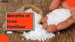 Benefits of Urea Fertilizer
