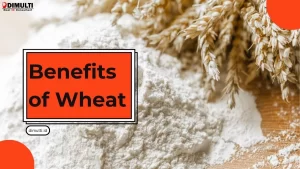 Benefits of Wheat