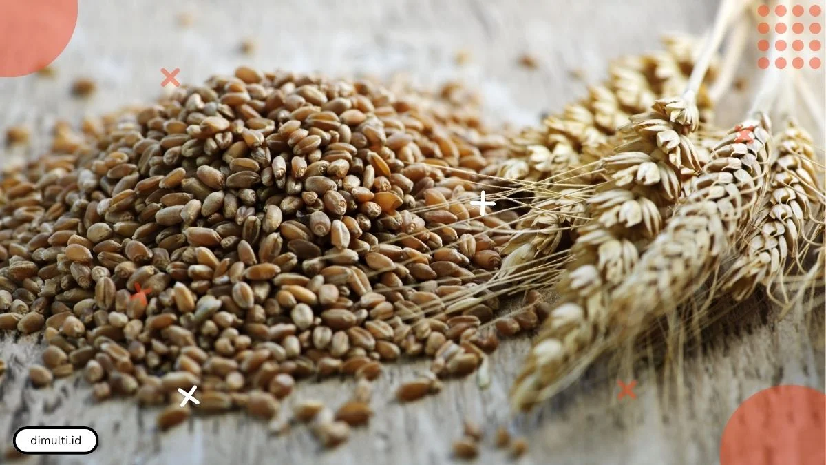 Health Benefits of Whole Wheat