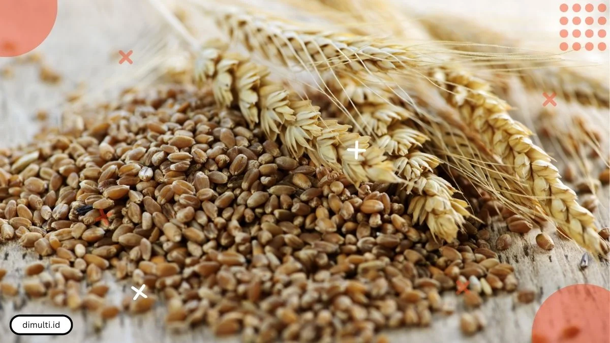 Health Benefits of Whole Wheat