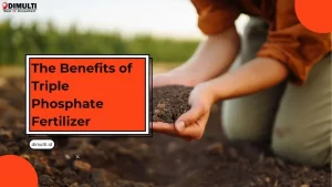 The Benefits of Triple Phosphate Fertilizer