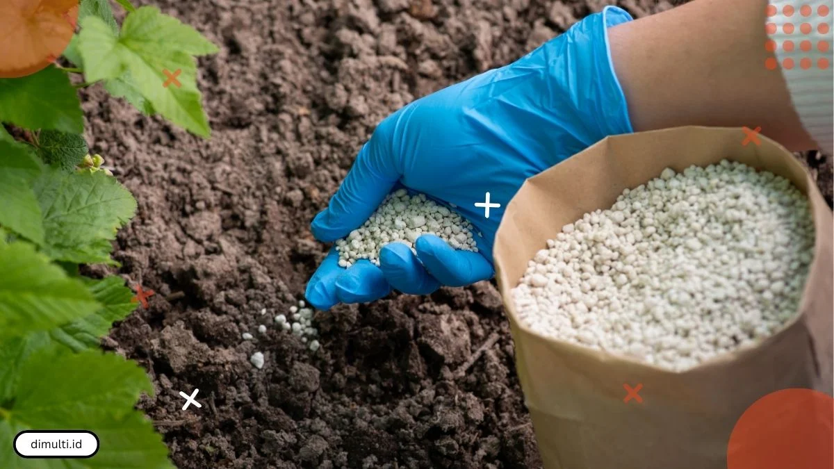 The Benefits of Triple Phosphate Fertilizer