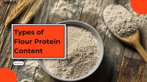 Types of Flour Protein Content