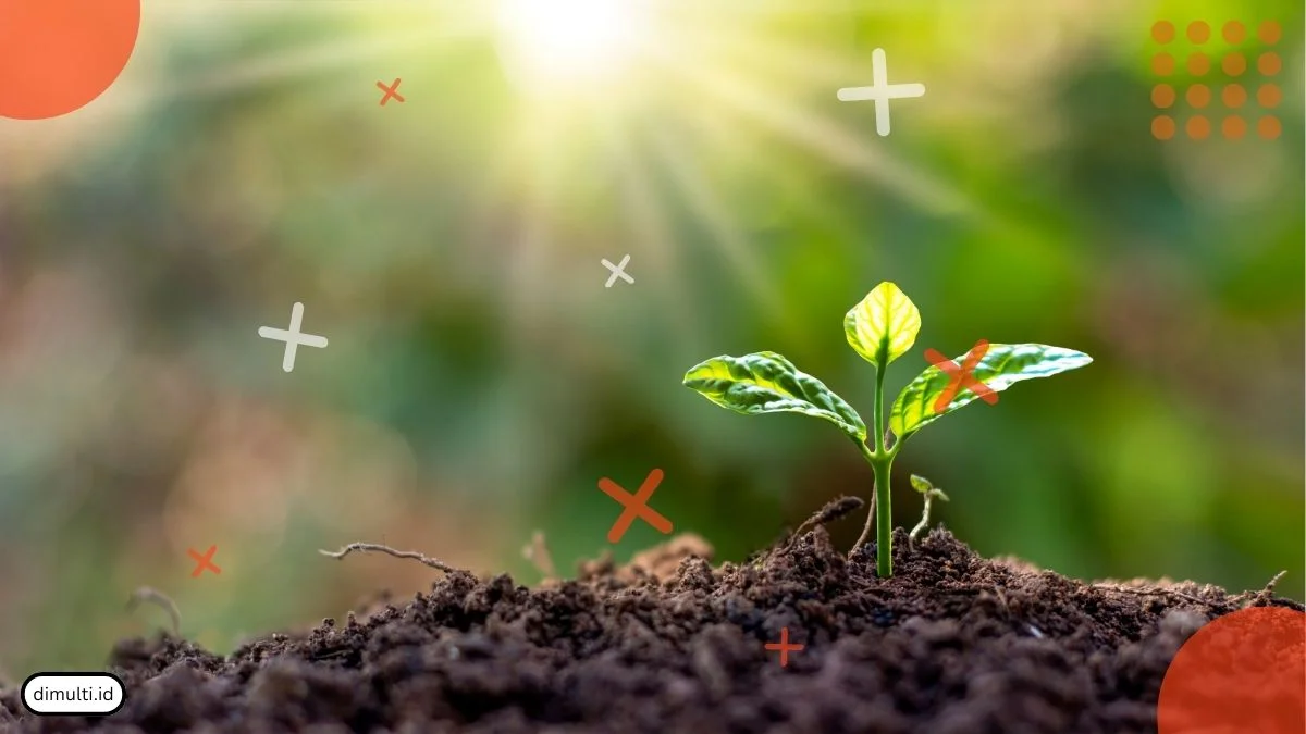 8 Benefits of Coffee Grounds for Plants