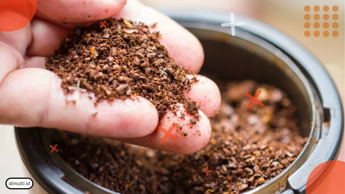 Will Coffee Grounds Kill Ants?