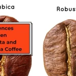 Differences Between Robusta and Arabica Coffee
