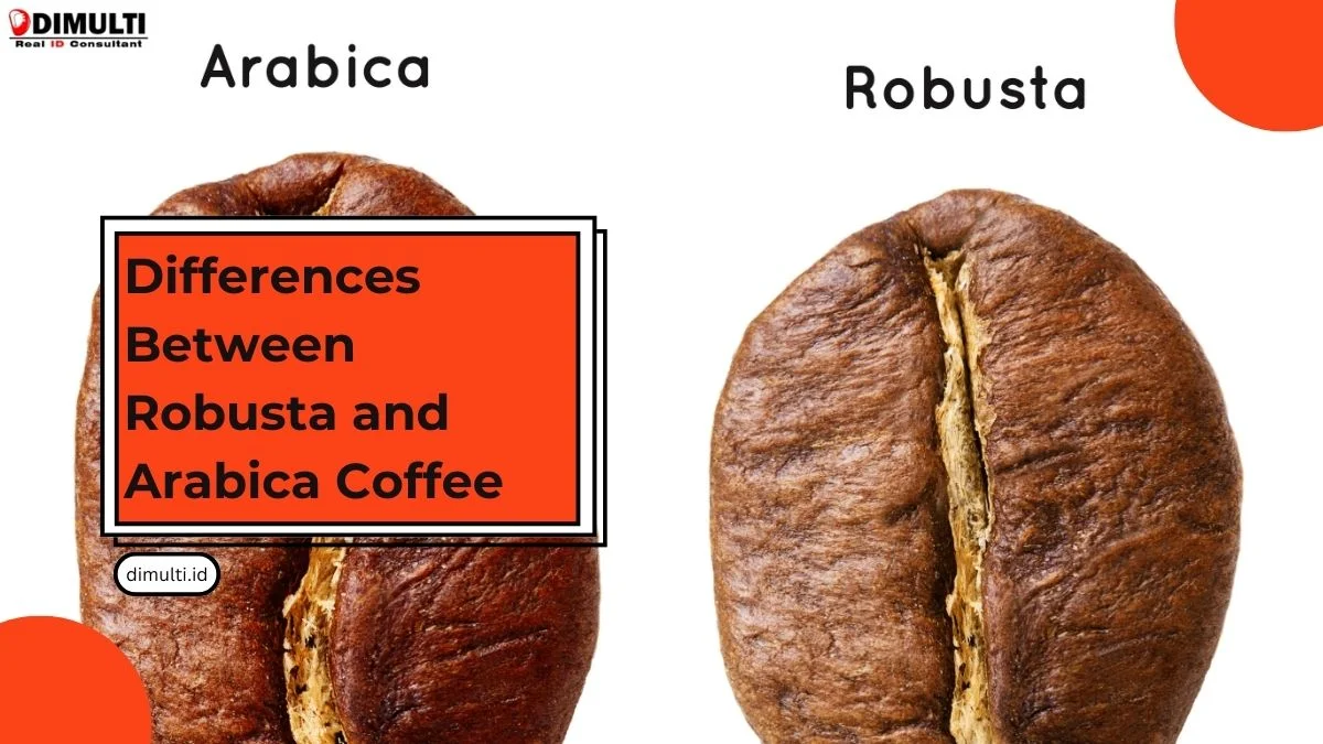 Differences Between Robusta and Arabica Coffee