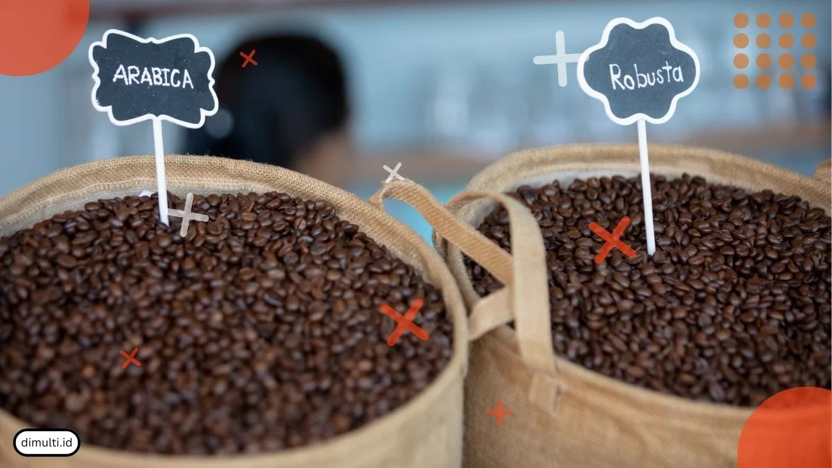 Differences Between Robusta and Arabica Coffee
